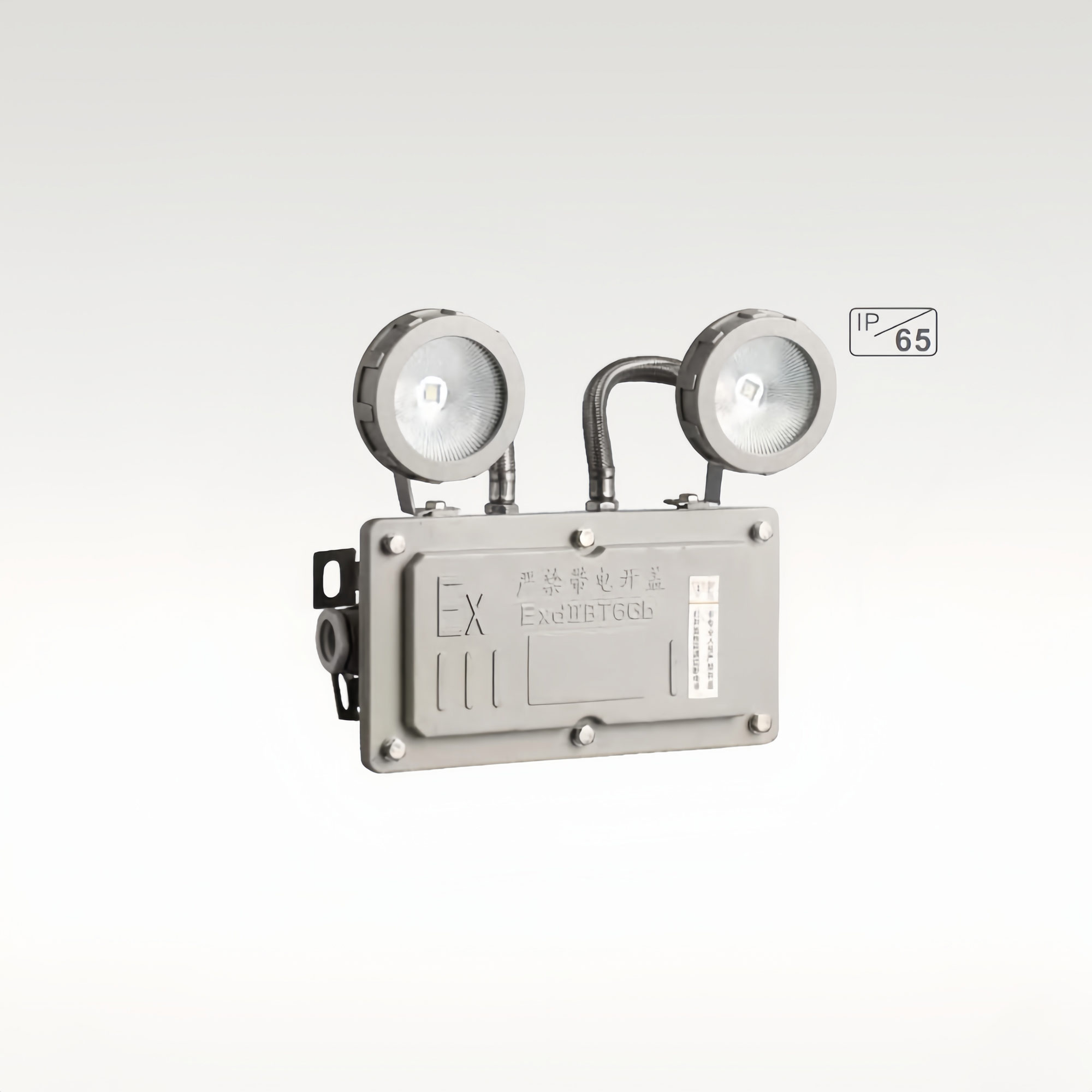 Emergency Explosion-proof Double Headam